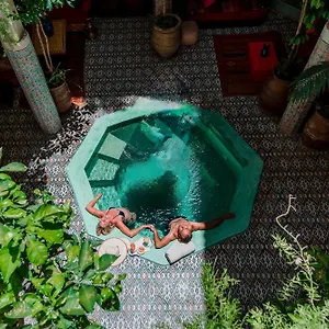 Abelia - 2024 Traveler's Choice Award Riad